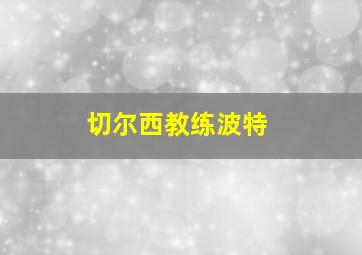 切尔西教练波特