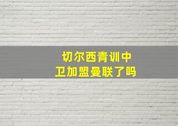 切尔西青训中卫加盟曼联了吗