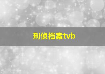 刑侦档案tvb