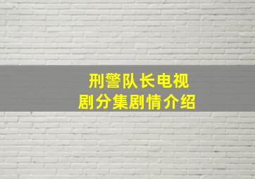 刑警队长电视剧分集剧情介绍