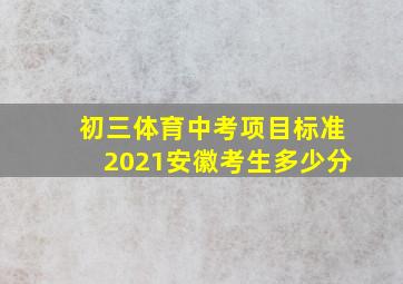 初三体育中考项目标准2021安徽考生多少分