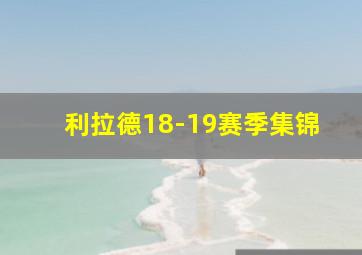 利拉德18-19赛季集锦