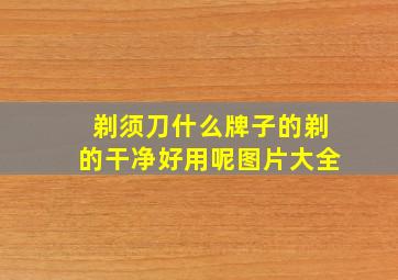 剃须刀什么牌子的剃的干净好用呢图片大全