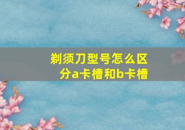 剃须刀型号怎么区分a卡槽和b卡槽