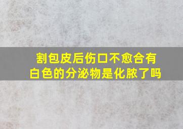 割包皮后伤口不愈合有白色的分泌物是化脓了吗