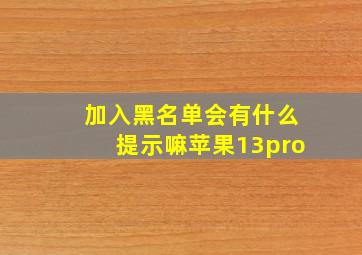 加入黑名单会有什么提示嘛苹果13pro