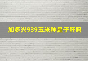 加多兴939玉米种是子秆吗