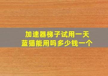 加速器梯子试用一天蓝猫能用吗多少钱一个