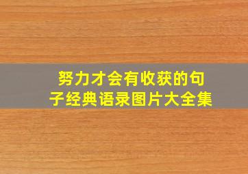 努力才会有收获的句子经典语录图片大全集