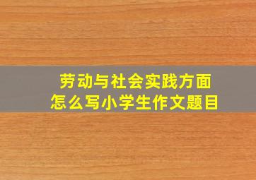 劳动与社会实践方面怎么写小学生作文题目