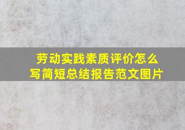 劳动实践素质评价怎么写简短总结报告范文图片