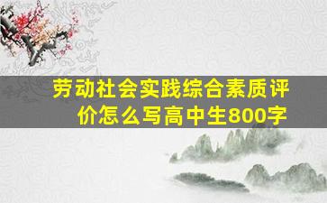 劳动社会实践综合素质评价怎么写高中生800字