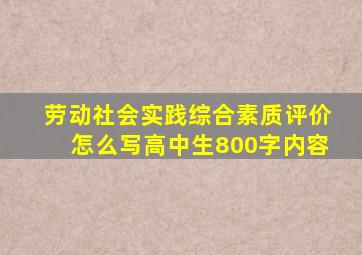 劳动社会实践综合素质评价怎么写高中生800字内容