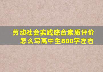 劳动社会实践综合素质评价怎么写高中生800字左右