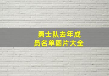 勇士队去年成员名单图片大全