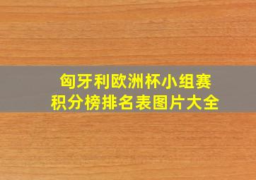 匈牙利欧洲杯小组赛积分榜排名表图片大全