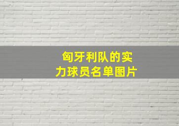 匈牙利队的实力球员名单图片