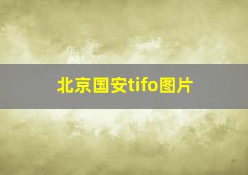 北京国安tifo图片