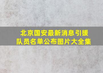 北京国安最新消息引援队员名单公布图片大全集