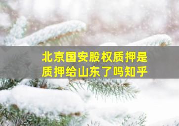 北京国安股权质押是质押给山东了吗知乎