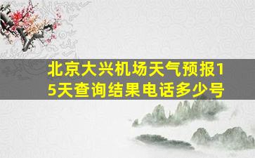 北京大兴机场天气预报15天查询结果电话多少号