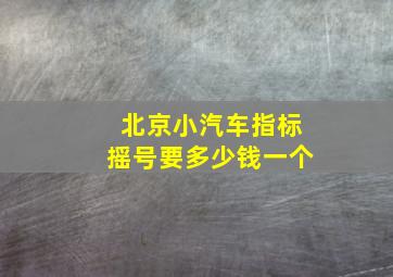 北京小汽车指标摇号要多少钱一个