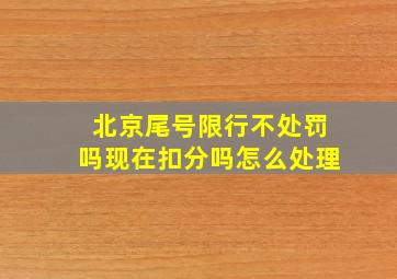 北京尾号限行不处罚吗现在扣分吗怎么处理