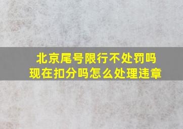 北京尾号限行不处罚吗现在扣分吗怎么处理违章