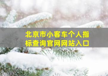 北京市小客车个人指标查询官网网站入口