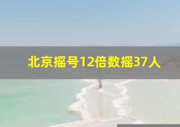 北京摇号12倍数摇37人