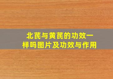 北芪与黄芪的功效一样吗图片及功效与作用