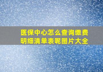 医保中心怎么查询缴费明细清单表呢图片大全