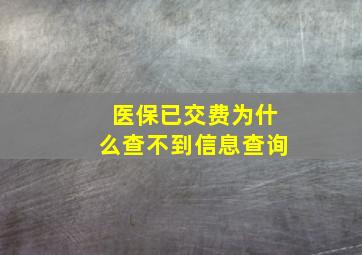 医保已交费为什么查不到信息查询