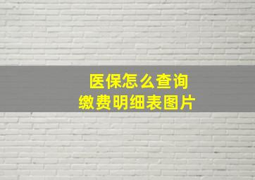 医保怎么查询缴费明细表图片