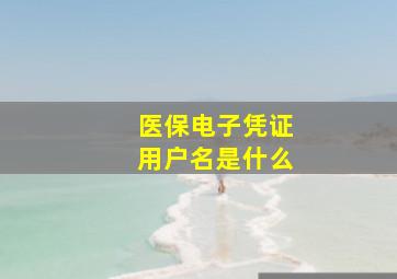 医保电子凭证用户名是什么