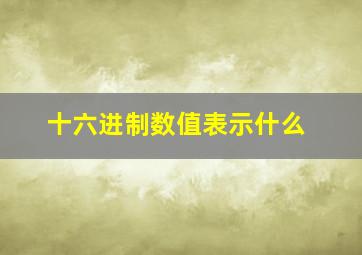 十六进制数值表示什么