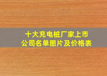 十大充电桩厂家上市公司名单图片及价格表