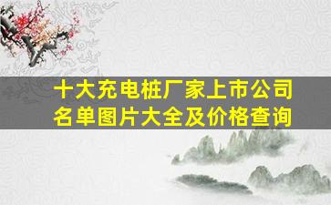 十大充电桩厂家上市公司名单图片大全及价格查询