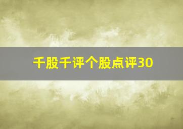 千股千评个股点评30