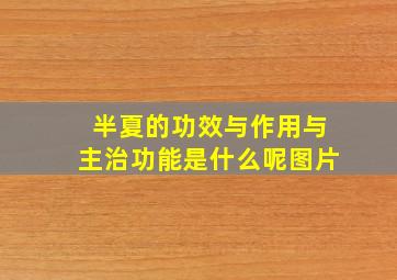 半夏的功效与作用与主治功能是什么呢图片