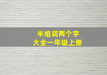 半组词两个字大全一年级上册