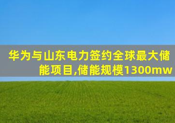 华为与山东电力签约全球最大储能项目,储能规模1300mw