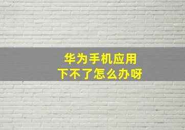 华为手机应用下不了怎么办呀