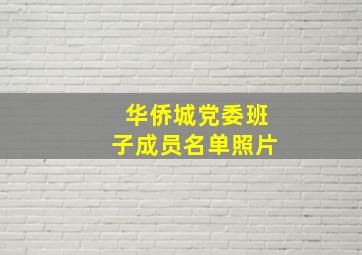 华侨城党委班子成员名单照片