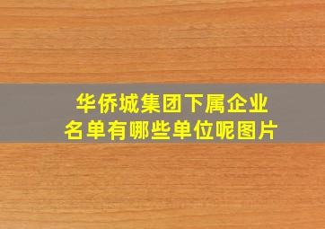 华侨城集团下属企业名单有哪些单位呢图片