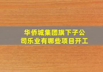 华侨城集团旗下子公司乐业有哪些项目开工