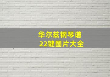 华尔兹钢琴谱22键图片大全