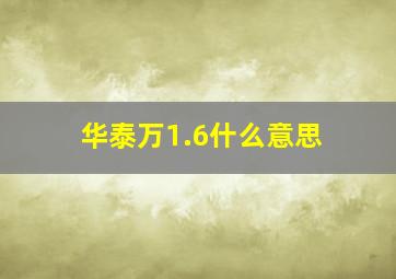 华泰万1.6什么意思