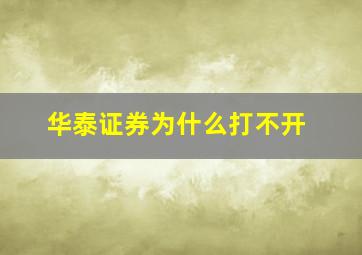 华泰证券为什么打不开