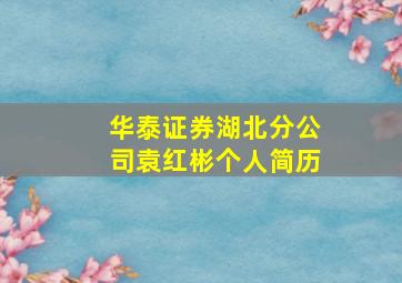 华泰证券湖北分公司袁红彬个人简历